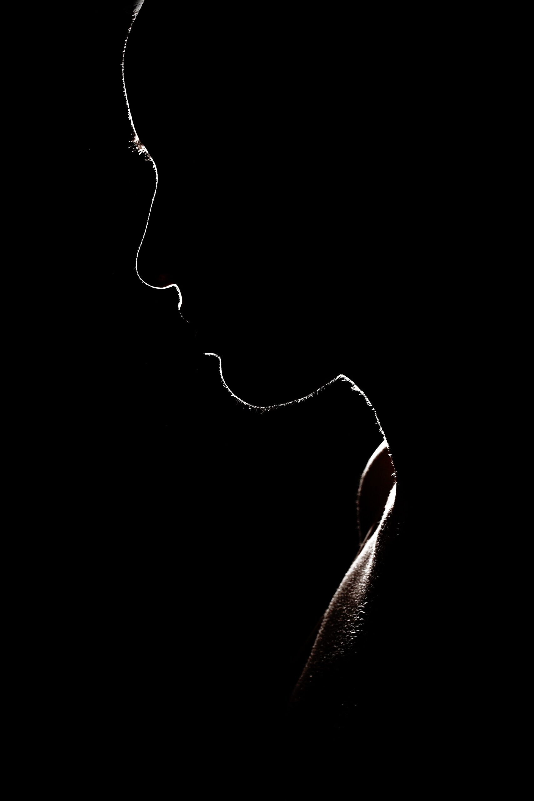 shadowy bust figures